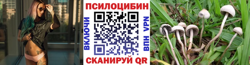 Псилоцибиновые грибы ЛСД  Купить закладки  Вичуга 